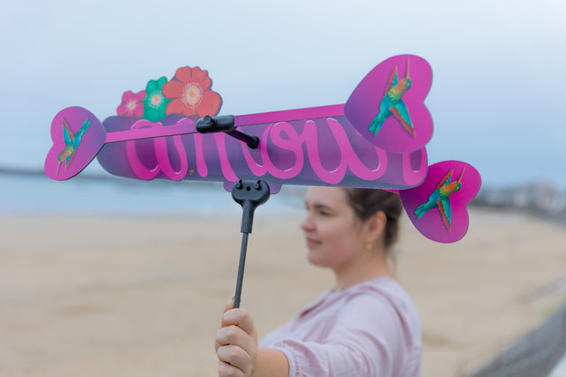 Mona and Mia Weather Vane Clearance Sale