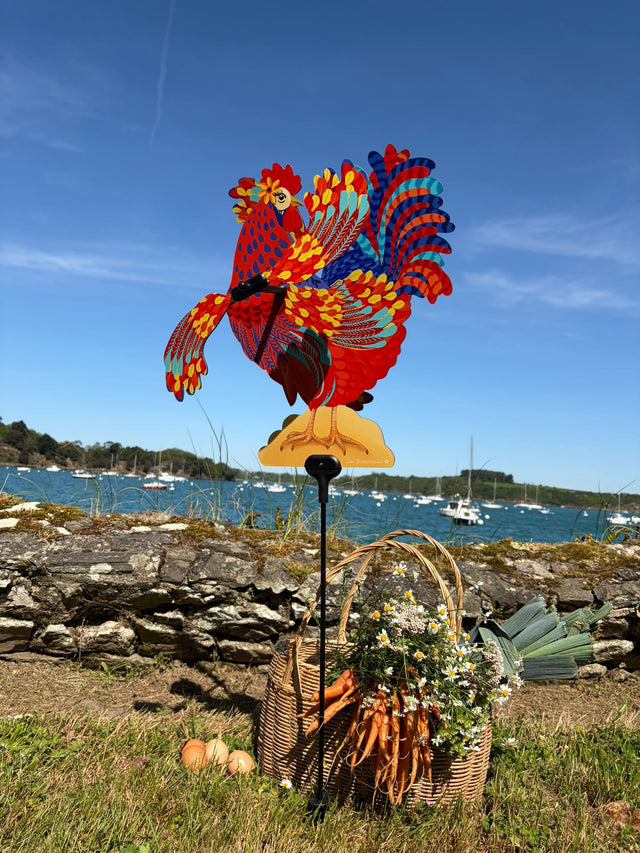 Sacha Bada Weather Vane