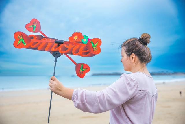 Mona and Mia Weather Vane Clearance Sale