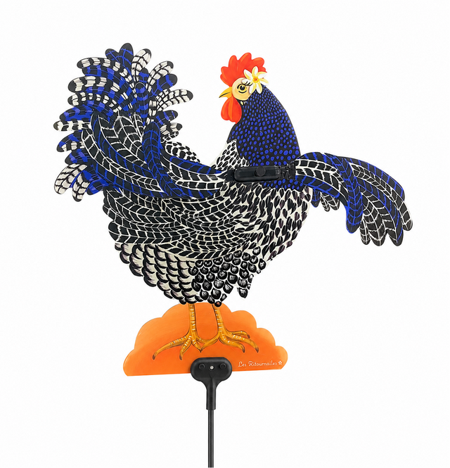 Sacha Bada Weather Vane