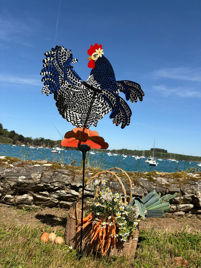 Sacha Bada Weather Vane
